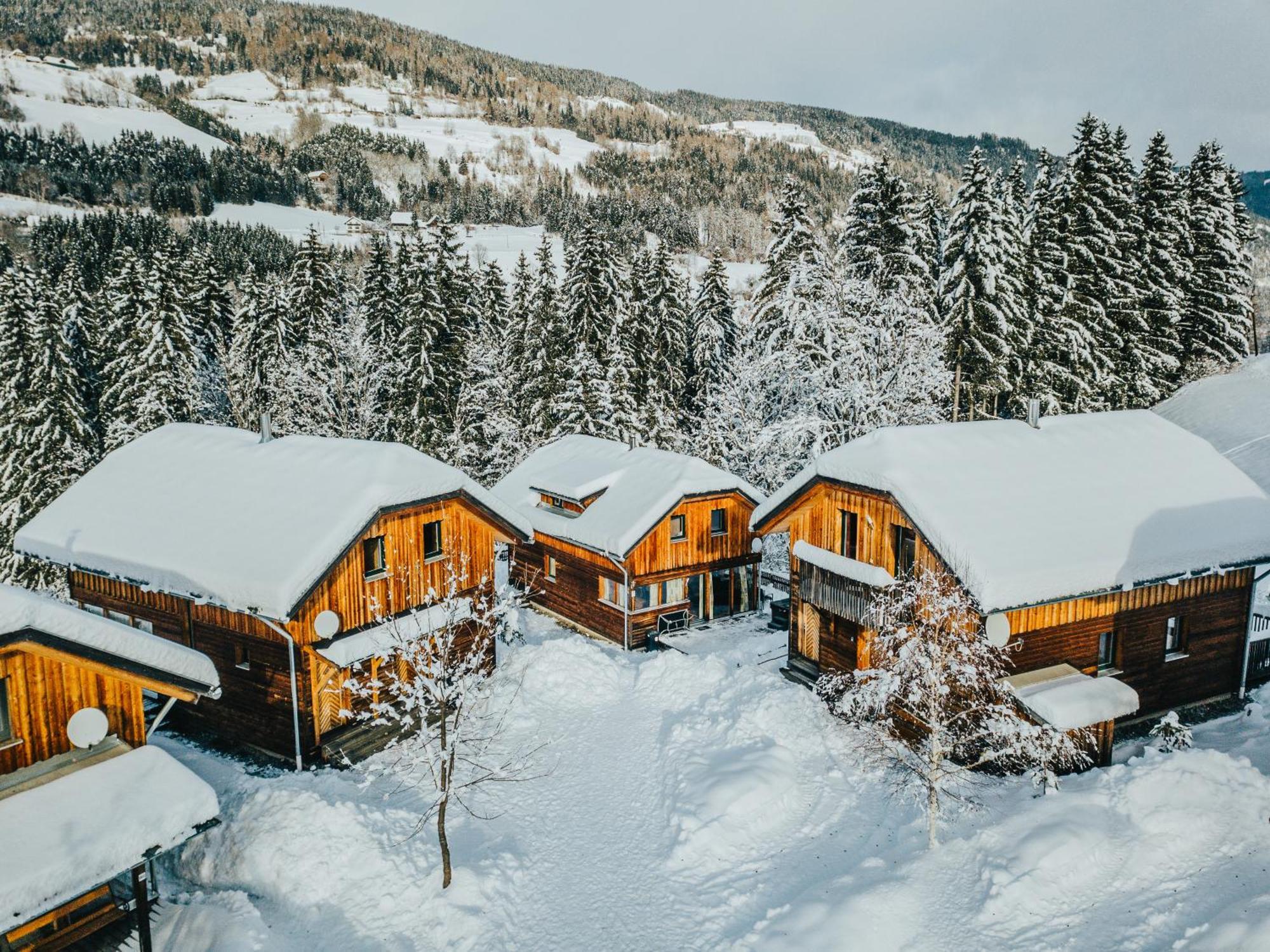 Woody Park Villa Sankt Georgen ob Murau Exterior foto